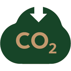 About cork 16 carbon negative